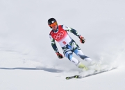 开云体育登录-瑞士男子滑雪选手技艺精湛，领先全场的简单介绍