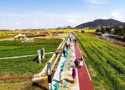 开云体育直播-关于瓦伦西亚五轮不败，逐步恢复稳定状态的信息