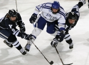 开云体育官网-铁壁拉亚与格子军团的战术胜利，解析克罗地亚如何以防守艺术斩落阿尔及利亚