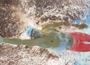 开云平台-浙江队一波流带走凯尔特人，莫兰特关键先生本色尽显