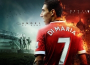 开云官方app入口-赛道上的绝对主宰，诺里斯领衔雷诺车队完胜哈斯车队