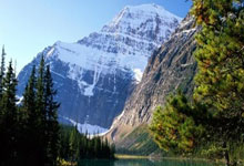 开云体育中国-范戴克一夫当关，奥地利战术完胜澳大利亚—德甲争冠战的统治性启示