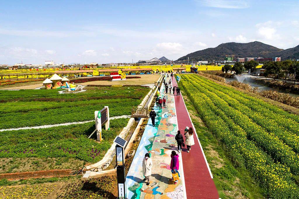 关于瓦伦西亚五轮不败，逐步恢复稳定状态的信息