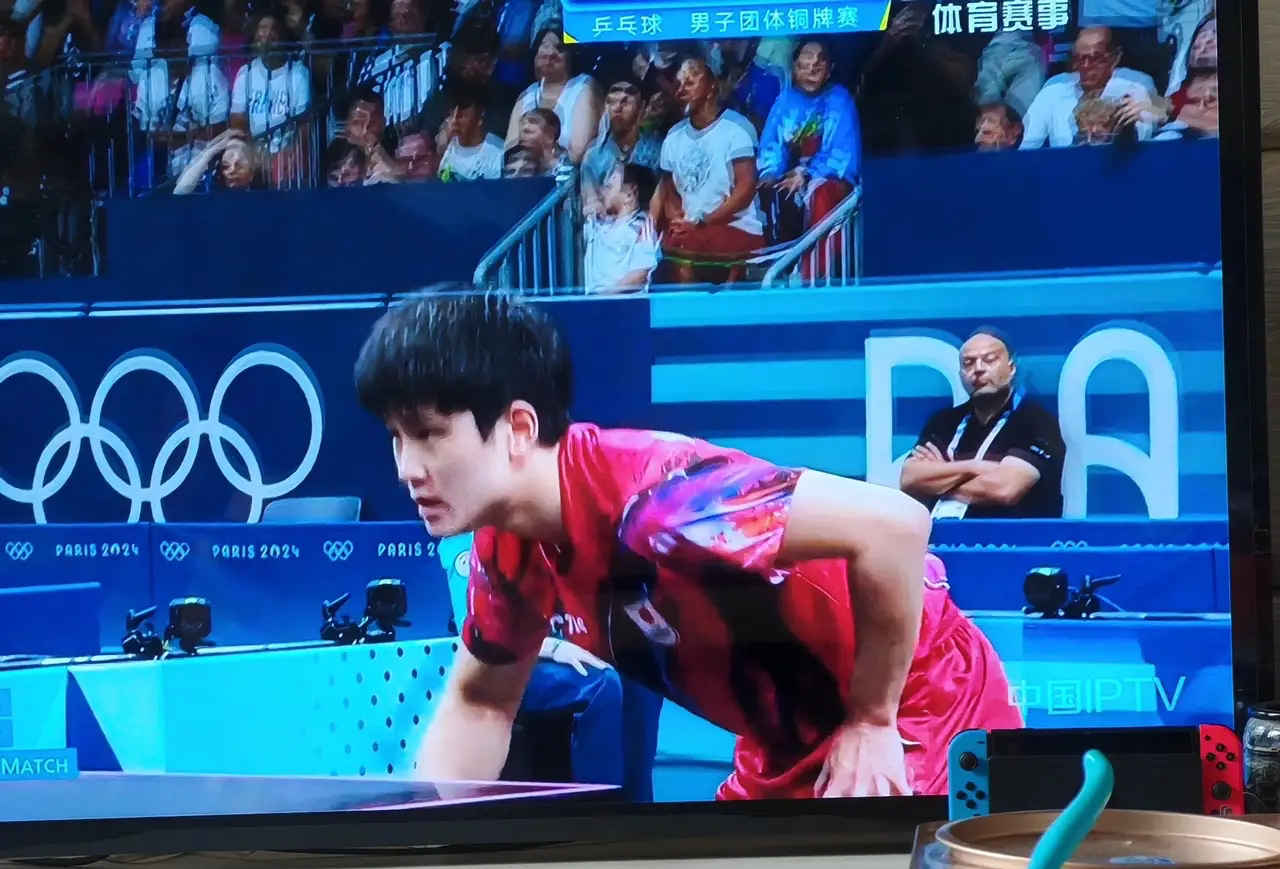 法国队碾压韩国队，张本智和惊艳四座的简单介绍