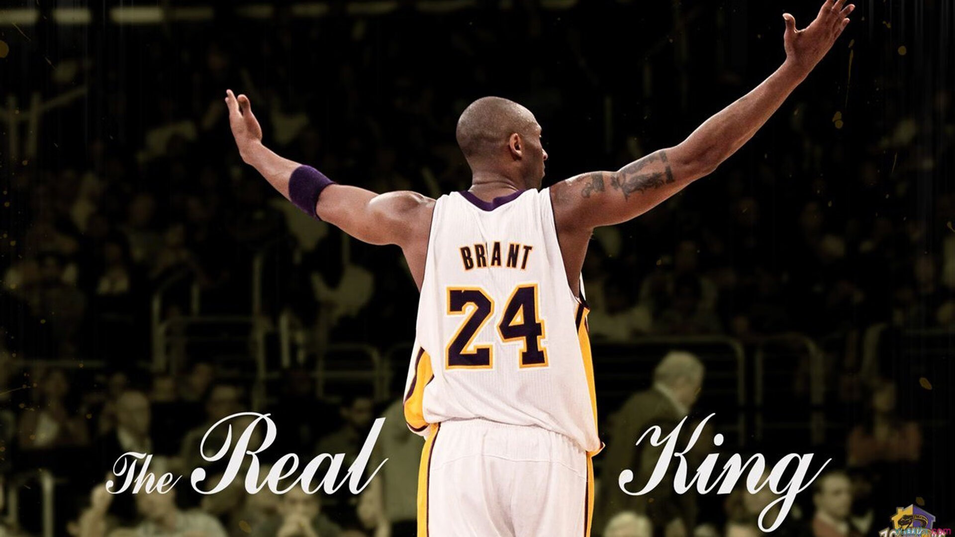 战术铁幕，从梅西的防守艺术到加拿大的封锁密码—现代竞技的锁死哲学